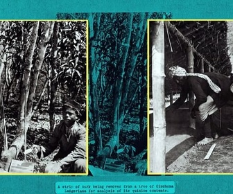 Replay Les serres de la colonisation - Faire l'histoire