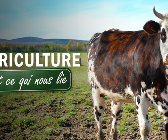 Replay L'agriculture, c'est ce qui nous lie