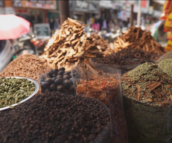 Replay Focus - Inde : à la découverte de la route des épices dans l'État du Kerala