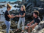 Replay Tenerife - Canaries, les îles-volcans