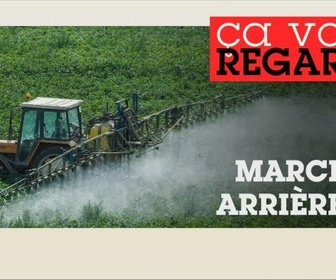 Replay Ça vous regarde - Loi Duplomb : l'écologie sacrifiée ?