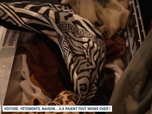 Replay Un jour, un doc - Voiture, vêtements, maison… Ils paient tout moins cher !