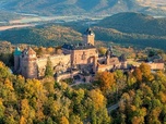 Replay Haut-Koenigsbourg, chroniques d'une nature assiégée - Secrets sauvages du patrimoine