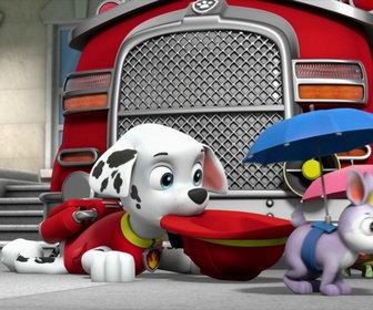 Replay Paw Patrol, la Pat'Patrouille - La fresque de la Mini Patrouille