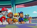 Replay Paw Patrol, la Pat'Patrouille - La grande tombola