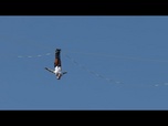 Replay Un slackliner estonien défie une ligne à 120 mètres au-dessus de Séoul
