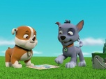 Replay Paw Patrol, la Pat'Patrouille - L'anniversaire d'Alex