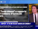 Replay Le Dej Info - Une taxe pour les propriétaires de chien - 16/10