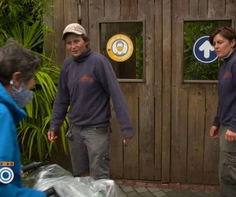 Replay Une saison au zoo - S14 E3
