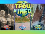 Replay Tfou d'Info du 17 juin 2026