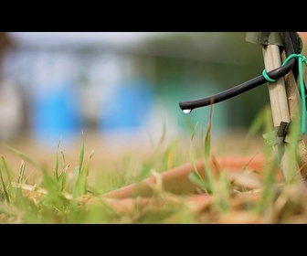 Replay Oliviers irrigués avec des eaux usées traitées : un projet pilote pour lutter contre la sécheresse