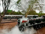Replay Un billet de train pour l'Afrique du Sud