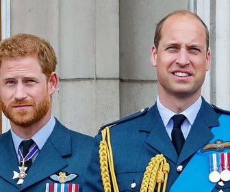 Replay Harry vs William - Querelle royale