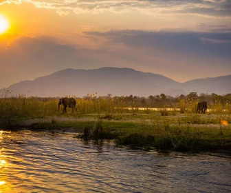 Replay Le Zambèze, fleuve sauvage d'Afrique