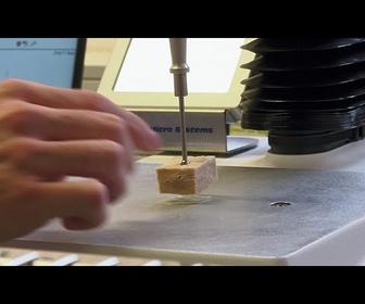 Replay Des protéines cultivées en laboratoire pour nourrir un monde qui a faim - Made in Europe