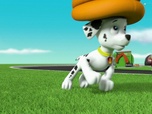 Replay Paw Patrol, la Pat'Patrouille - L'oeuf de Galinetta
