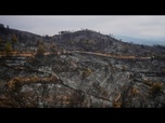 Replay Les incendies de forêt font rage dans le sud de l'Europe en raison de températures record