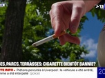 Replay 20H BFM - Plages, parcs, terrasses... la cigarette bientôt bannie de l'espace public?