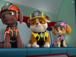 Replay Paw Patrol, la Pat'Patrouille - Mission Paw / Mission Secrète : La couronne