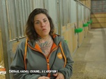 Replay Animaux à adopter - Chevaux, vaches, cochons... A l'adoption !