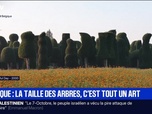 Replay BFM Première prématinale - Le break du mardi 23 septembre