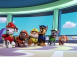 Replay Paw Patrol, la Pat'Patrouille - Toilettage à domicile