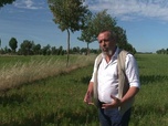Replay ARTE Journal - Cadmium : comment les agriculteurs s'adaptent