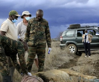 Replay Les coulisses d'un tournage - Kenya - Au rythme des pluies (4/4)