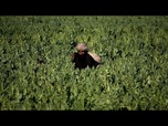 Replay La police détruit des champs de pavot à opium au Pakistan