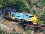Replay Île du Sud : du Pacifique aux Alpes du Sud - Un billet de train en Nouvelle-Zélande