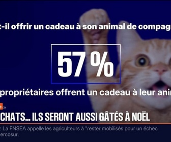 Replay BFM Première prématinale - C'est votre vie - 19/12