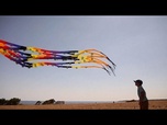 Replay Ours, pieuvre, oiseau : découvrez les cerfs-volants atypiques du festival Via Pontica, en Bulgarie