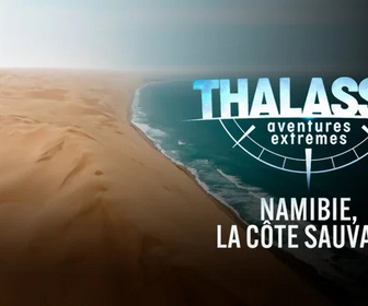 Replay Thalassa, aventures extrêmes - 03/11/2025