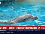 Replay BFM Première - La mort d'un dauphin transféré du Marineland d'Antibes vers l'Espagne provoque la colère des associations