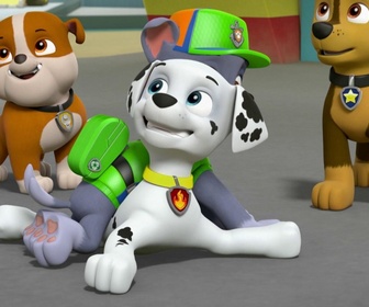 Replay Paw Patrol, la Pat'Patrouille - S05 E06 - La Pat' Patrouille des Mers sauve une baleine