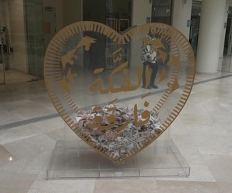 Replay Focus - Égypte : la manne du ramadan pour les hôpitaux