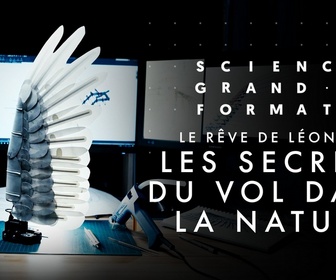 Replay Science grand format - Le rêve de Léonard - Les secrets du vol dans la nature