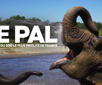 Replay Le Pal : au coeur du zoo le plus insolite de France