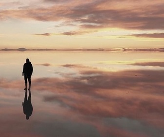 Replay Le Soleil - L'astre dans les arts