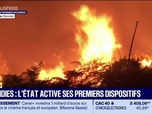 Replay Good Morning Business - Incendies : l'État active ses premiers dispositifs
