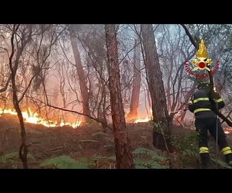 Replay En Toscane, un feu de forêt sur le Monte Faeta : 800 hectares brûlés, 3 000 personnes évacuées