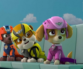 Replay Paw Patrol, la Pat'Patrouille - Le pique-nique de l'extrême