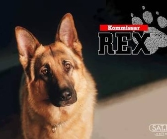 Rex replay
