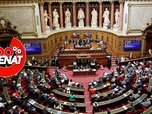 Replay 100% Sénat - Budget : le Sénat adopte les crédits de la mission écologie