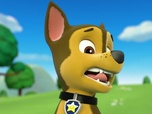 Replay Paw Patrol, la Pat'Patrouille - La dent de lait