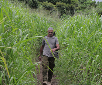 Replay Mystères inexplorés - S1E1 - Les marcheurs de la nuit