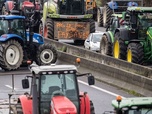 Replay 28 Minutes - Agriculture : une loi de sortie de crise ?