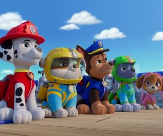 Replay Paw Patrol, la Pat'Patrouille - Un drôle de rêve