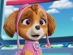 Replay Paw Patrol, la Pat'Patrouille - Yumi l'Abeille