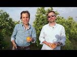 Replay Crowd Farming : la plateforme qui veut mieux nourrir l'Europe